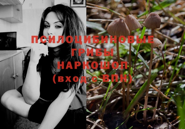 спиды Протвино
