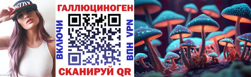 Псилоцибиновые грибы Cubensis  Инсар 